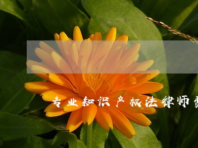 专业知识产权法律师费怎么算 专业知识产权法律师费怎么算