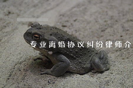 专业离婚协议纠纷律师介绍 专业离婚协议纠纷律师介绍