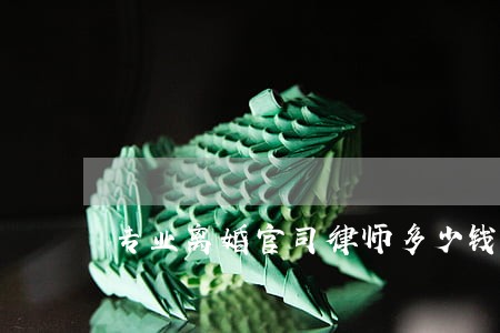 专业离婚官司律师多少钱 专业离婚官司律师多少钱