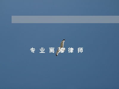 专业离婚律师 专业离婚律师