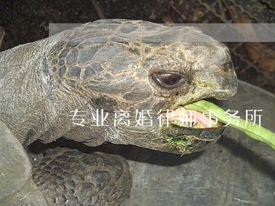 专业离婚律师事务所 专业离婚律师事务所