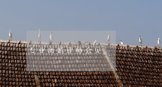 专业离婚律师会见 专业离婚律师会见
