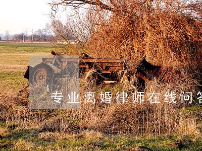 专业离婚律师在线问答 专业离婚律师在线问答