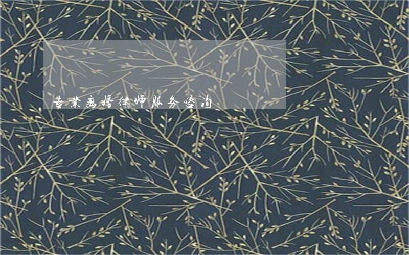 专业离婚律师服务咨询 专业离婚律师服务咨询