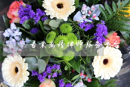专业离婚律师服务平台 专业离婚律师服务平台
