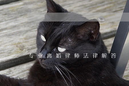 专业离婚律师法律解答 专业离婚律师法律解答