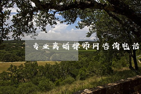专业离婚律师网咨询电话 专业离婚律师网咨询电话