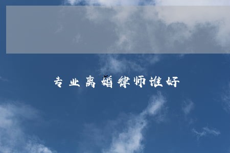 专业离婚律师谁好 专业离婚律师谁好