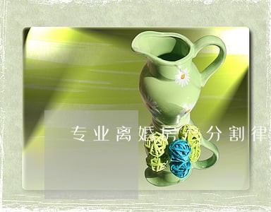 专业离婚房产分割律师选谁 专业离婚房产分割律师选谁