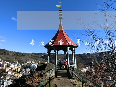 专业离婚抚养权律师委托流程 专业离婚抚养权律师委托流程