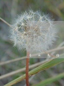 专业离婚财产分割律师电话咨询 专业离婚财产分割律师电话咨询