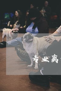 专业离婚赔偿律师价格 专业离婚赔偿律师价格