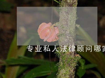 专业私人法律顾问哪家好 专业私人法律顾问哪家好