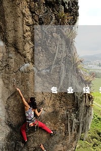 专业经济纠纷律师费怎么算 专业经济纠纷律师费怎么算