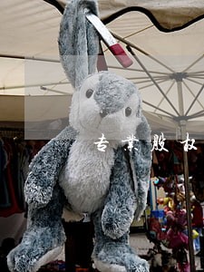 专业股权争议律师收费 专业股权争议律师收费
