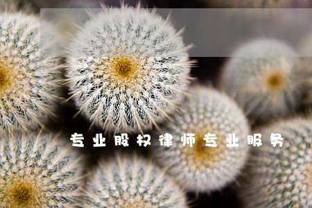 专业股权律师专业服务 专业股权律师专业服务