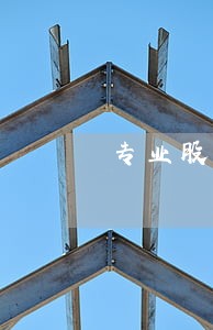 专业股权律师收费 专业股权律师收费
