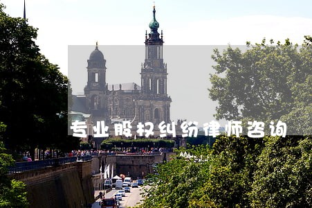 专业股权纠纷律师咨询 专业股权纠纷律师咨询