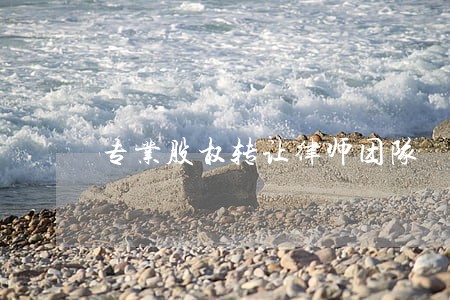专业股权转让律师团队 专业股权转让律师团队