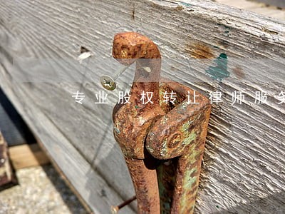 专业股权转让律师服务