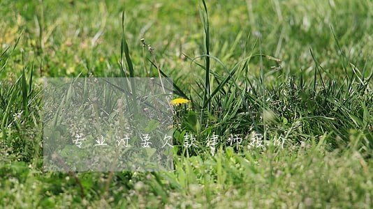 专业讨要欠款律师报价 专业讨要欠款律师报价