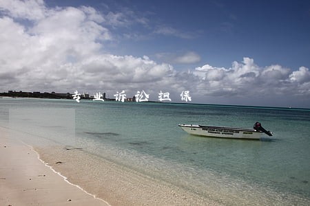专业诉讼担保