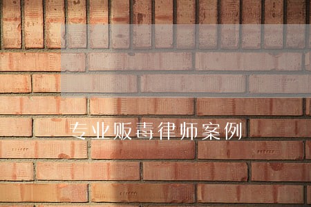 专业贩毒律师案例 专业贩毒律师案例