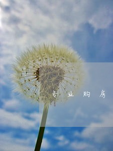 专业购房合同律师免费咨询 专业购房合同律师免费咨询