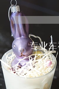 专业车祸官司律师哪家好