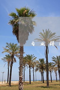 专业辞退纠纷律师哪里找 专业辞退纠纷律师哪里找