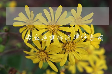 专业违建拆迁律师咨询 专业违建拆迁律师咨询