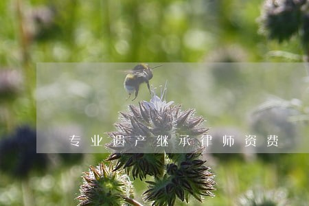 专业遗产继承律师资费 专业遗产继承律师资费