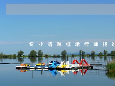 专业遗嘱继承律师找谁 专业遗嘱继承律师找谁