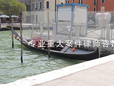 专业重大案件律师咨询热线 专业重大案件律师咨询热线