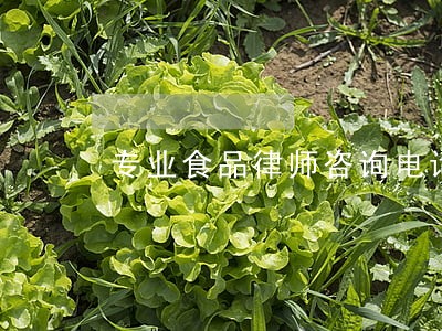 专业食品律师咨询电话 专业食品律师咨询电话