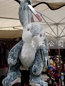 专做公司纠纷律师网站