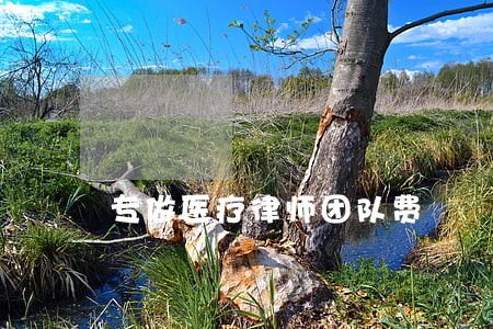 专做医疗律师团队费 专做医疗律师团队费