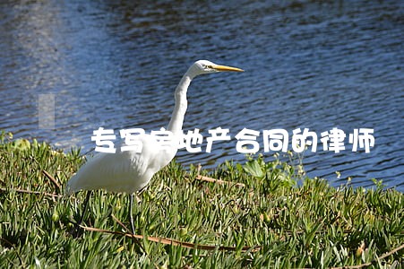 专写房地产合同的律师 专写房地产合同的律师