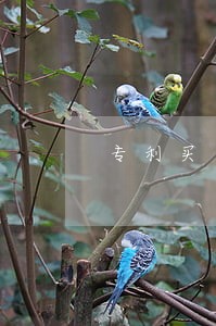 专利买卖网有保密能力吗 专利买卖网有保密能力吗