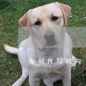 专利代写机构