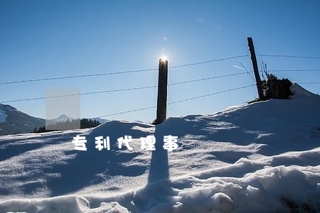专利代理事