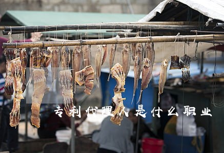 专利代理人是什么职业 专利代理人是什么职业