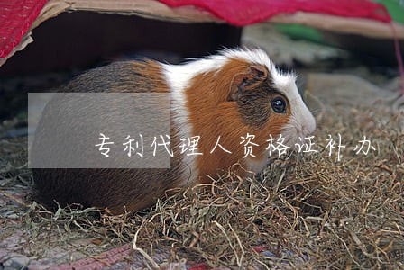 专利代理人资格证补办