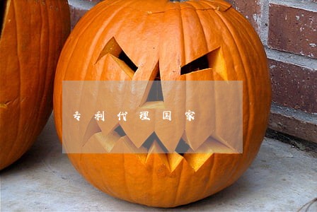 专利代理国家 专利代理国家