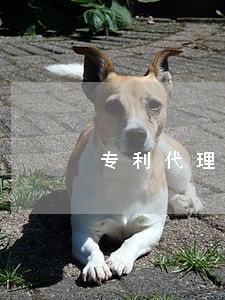 专利代理师专利法多少分