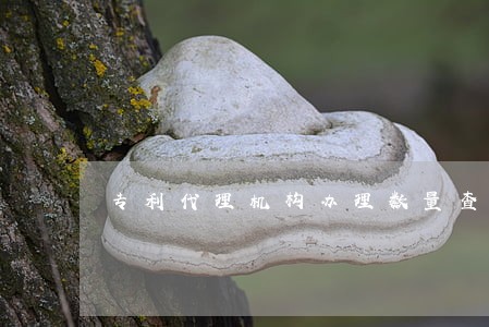 专利代理机构办理数量查询 专利代理机构办理数量查询