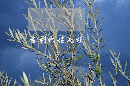 专利代理流程 专利代理流程