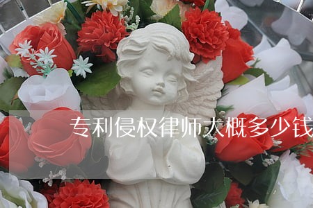 专利侵权律师大概多少钱 专利侵权律师大概多少钱