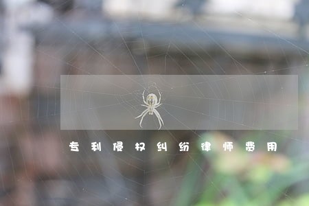 专利侵权纠纷律师费用 专利侵权纠纷律师费用