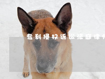 专利侵权诉讼法庭律师 专利侵权诉讼法庭律师